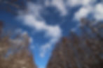 林間から覗く空