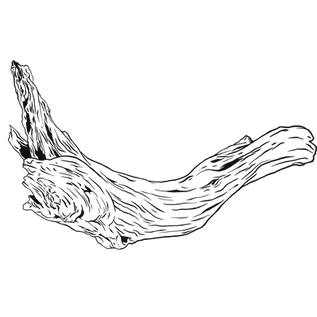 13. Driftwood.png