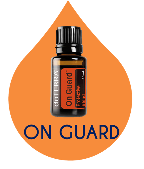 ON GUARD