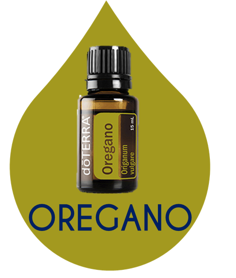 OREGANO