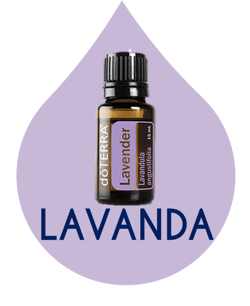 LAVANDA