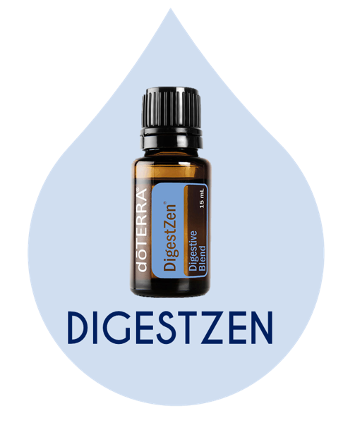 DIGEST ZEN
