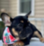 2_705261381641919_2391315595834791456_n