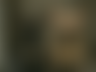 🐾 How to Support Rescue Frenchies in Need