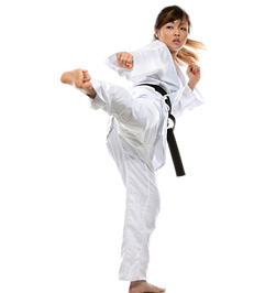 Karate Weggis