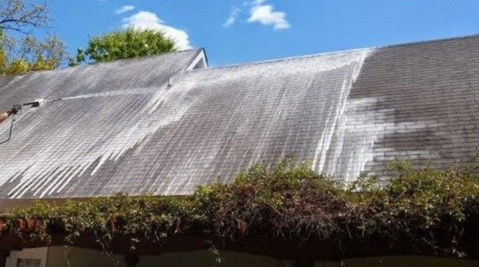 Roof Wash Cleaning. The Palms Pressure soft wash services.