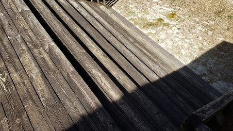 Wooden steps with high amount of algae