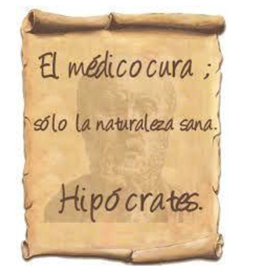 Hipocrates