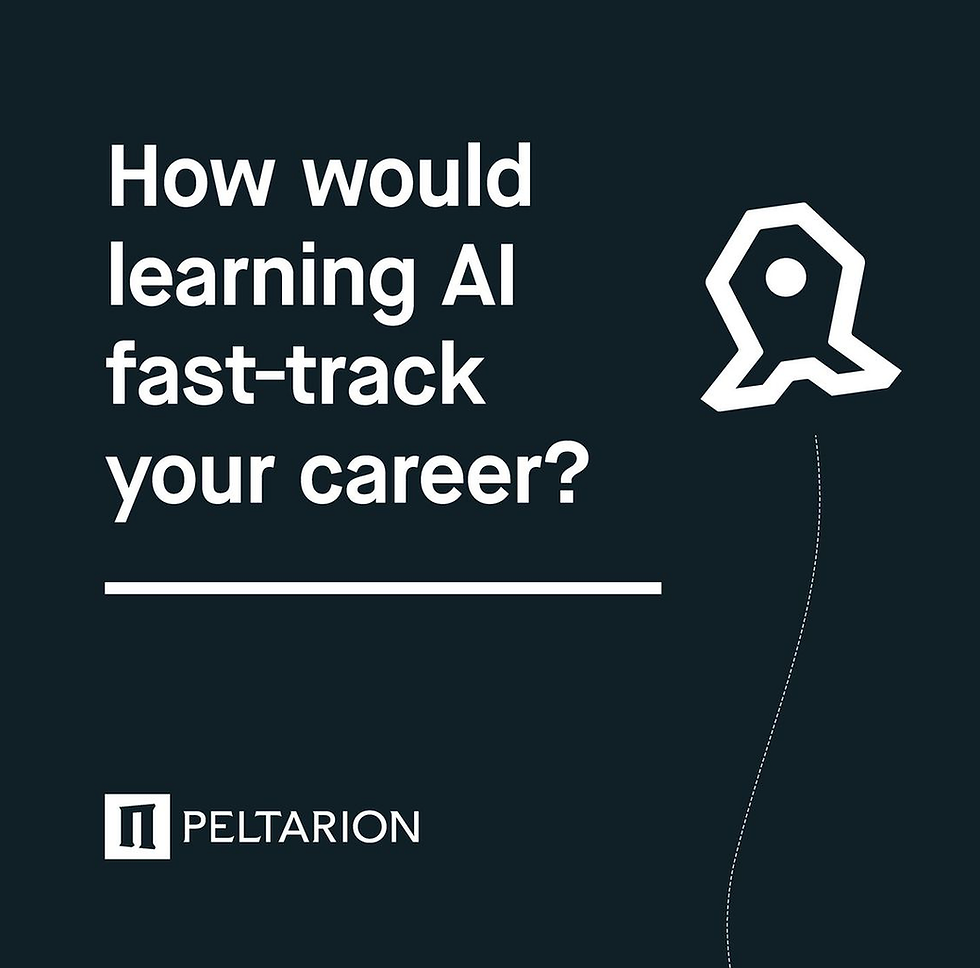 AI_Peltarion
