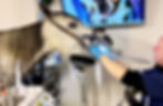 vetBERVEN Hestens Tannklinikk Hest Tannhelse Tenner Hest Tannbehandling Veterinær Rotfylling Trekking Karies Hull Forinnpakninger Bitt Hodelag Vanskelig på bitt