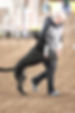 Patty Bensene CPDT Dog Trainer Agility Classes Portland Oregon City