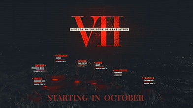 VII Series Graphic.jpg