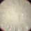 Thumbnail: French 13pc Oyster Plate Set