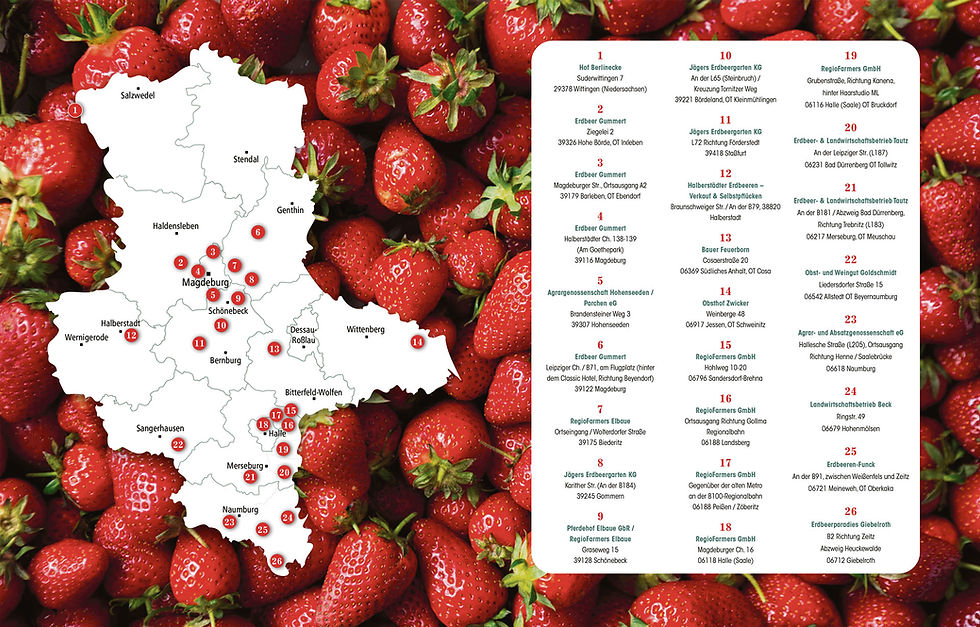 Erdbeeren_Ansicht---Desktop.jpg