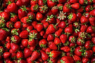 AdobeStock_144521073.jpg