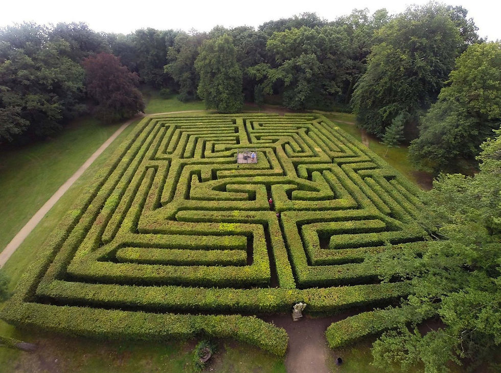 Irrgarten Altjeßnitz Thomas Ruttke.JPG