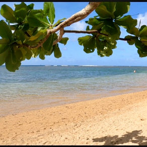 泣いたり笑ったり