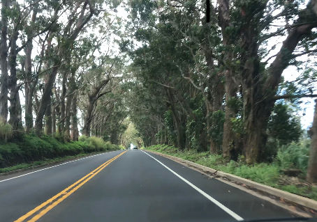 静かな島が良いんだけど…でも