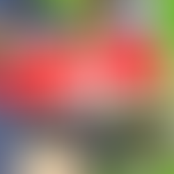 週末はガレージセール