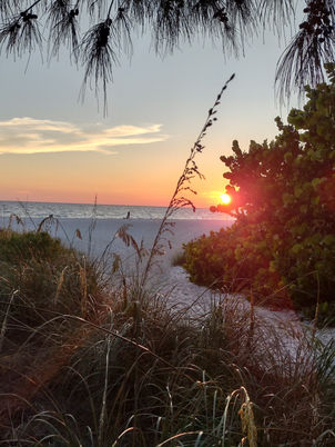 beach1.jpg