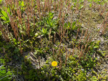 IMG_5958.jpeg