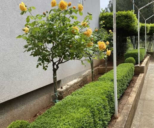 Prodej domu se dvěma bytovými jednotkami, 50 m od moře. Pula, Istrie, Chorvatsko