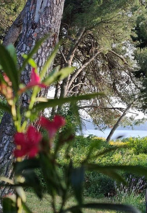 Prodej rodinného domu 160 m², pozemek 240 m²
Medulin, Istrie, Chorvatsko