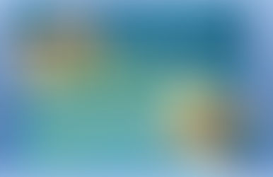 Preguntas para diagnosticar un TDA/H en adultos (De la OMS)