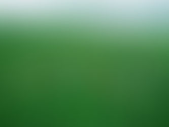 Khám Phá Lịch Trình Và Combo Du Lịch Bảo Lộc 2 Ngày 1 Đêm Tuyệt Vời Nhất