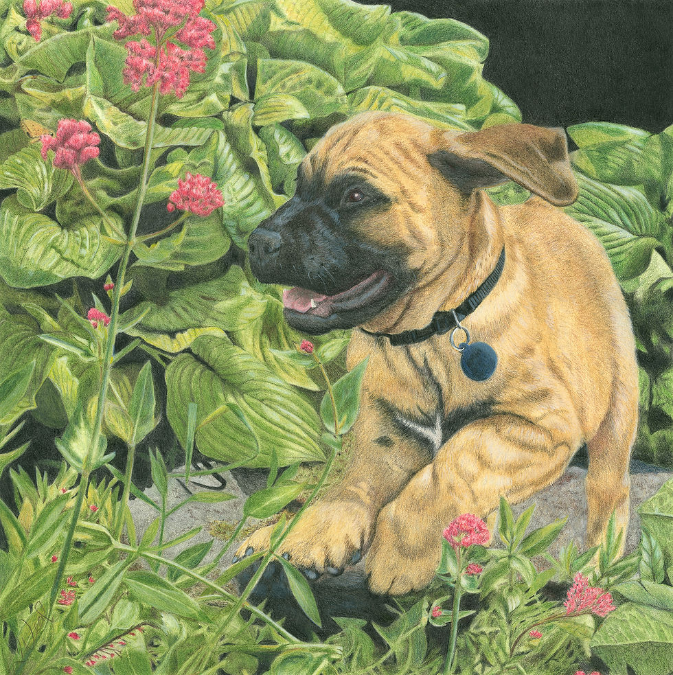 THROUGH THE GARDEN