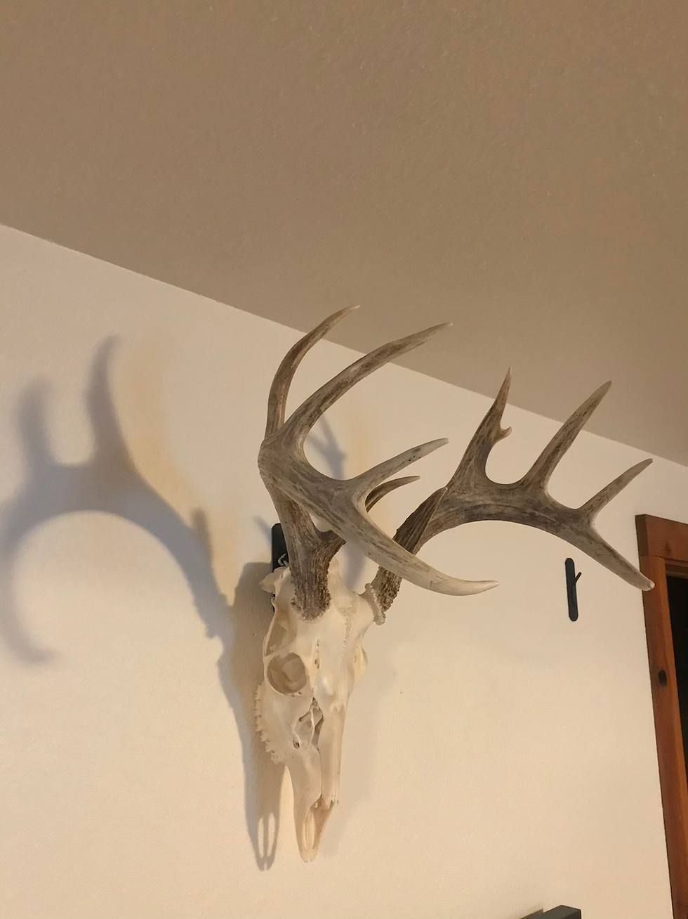 Thumbnail: Vertical European hanger 