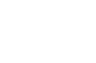 14.png