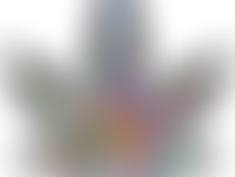 Best Cannabis Strains 