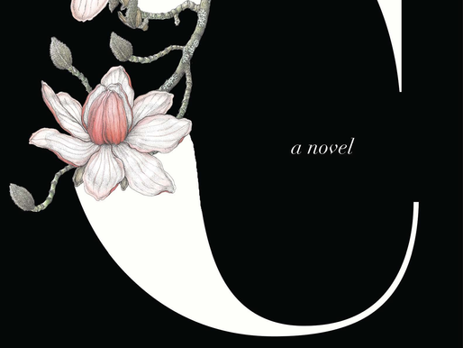 Review of 'C' A Novel by Anupama Raju