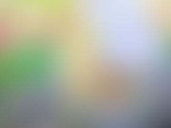 Haven Extraordinaire by Antara Banerjee