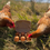Thumbnail: Free Range Eggs