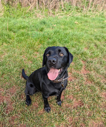 WhatsApp Image 2023-03-21 at 13.10.10 (1).jpeg