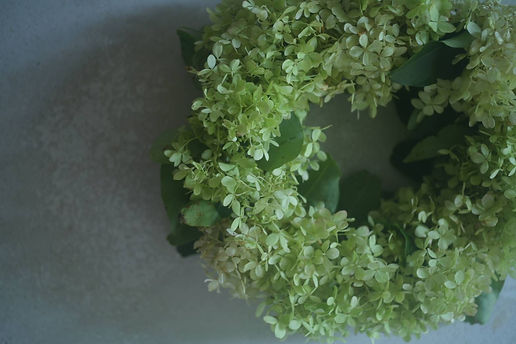 S__63266819.jpg