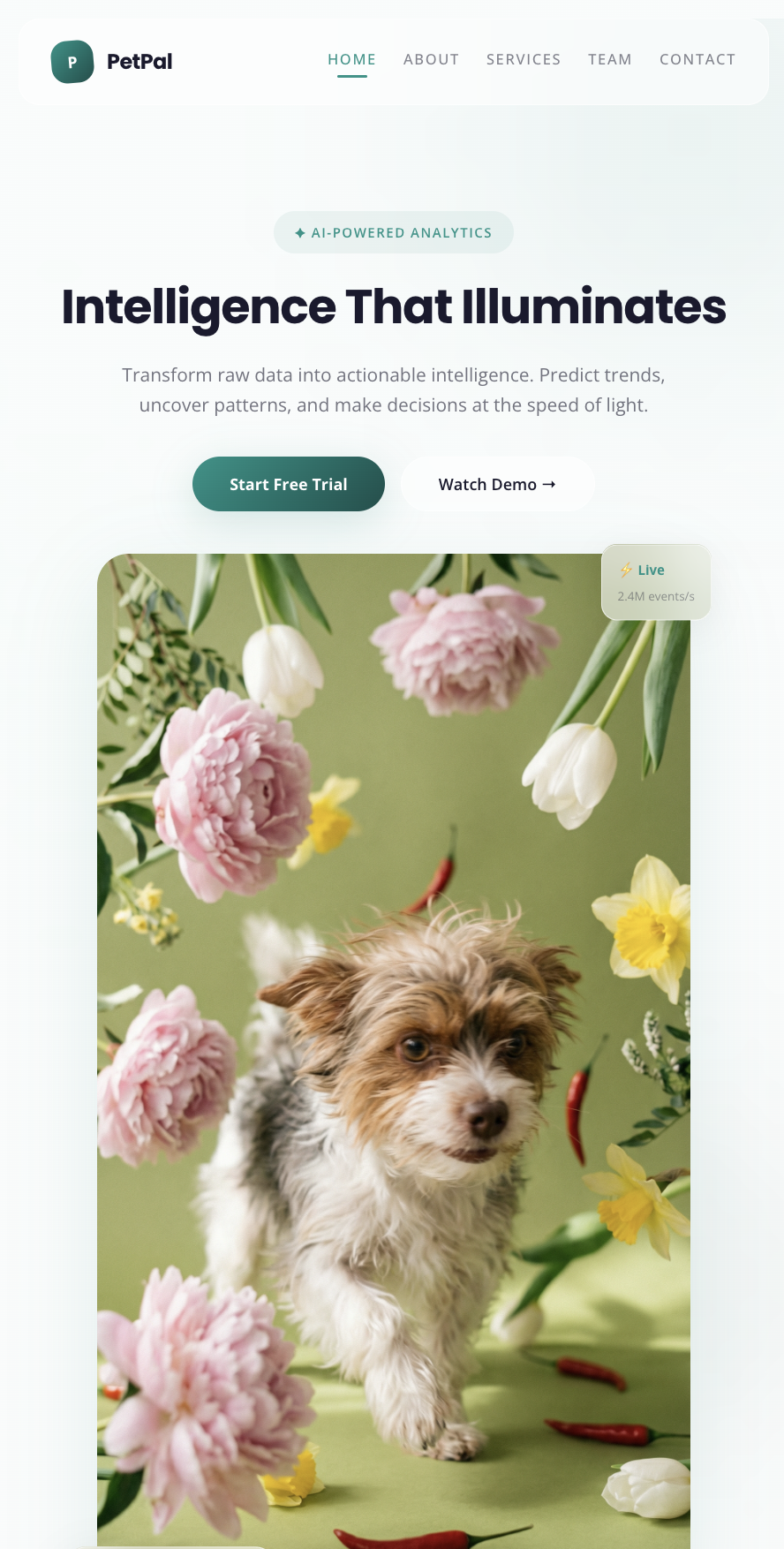 Glassmorphism template mobiil