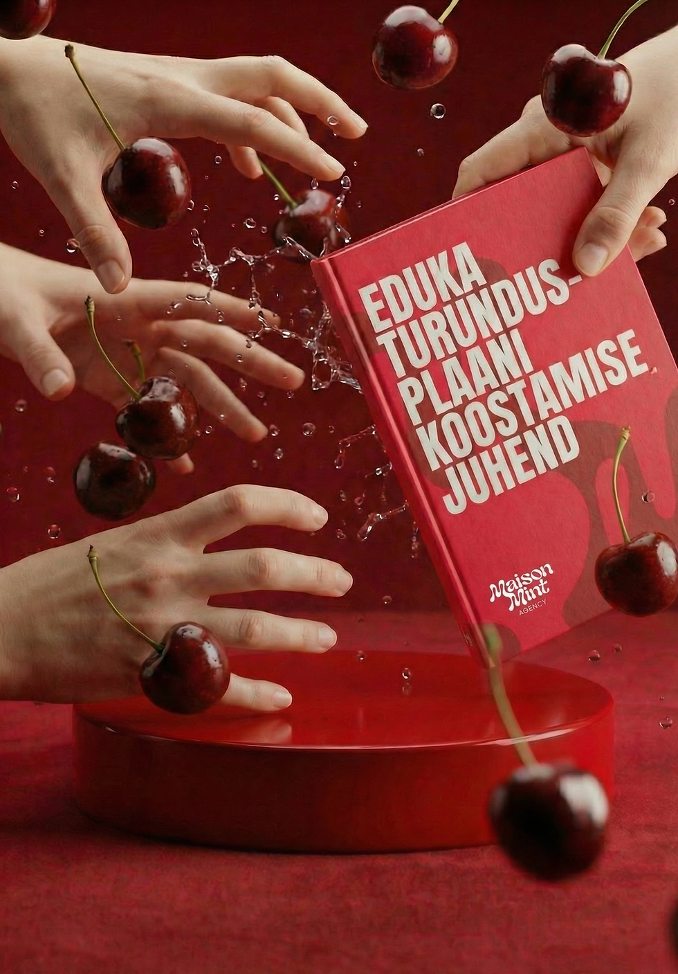 Maison Mint Turundusagentuuri "Eduka turundusplaani koostamise juhend" - lae alla TASUTA ja alusta kasvuga!