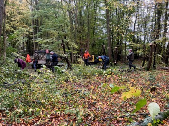 Coppice group.jpg