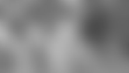 Make History: Volunteer for the First in Freedom Festival