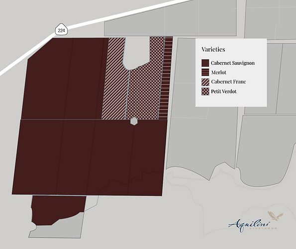 Block 19-26 & 33_VarietiesV2.png