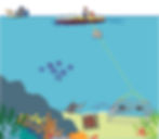 BRUVS Figure in Marine Ecology Progress Series