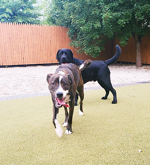 Screen Shot 2022-10-05 at 6.58.55 PM.png