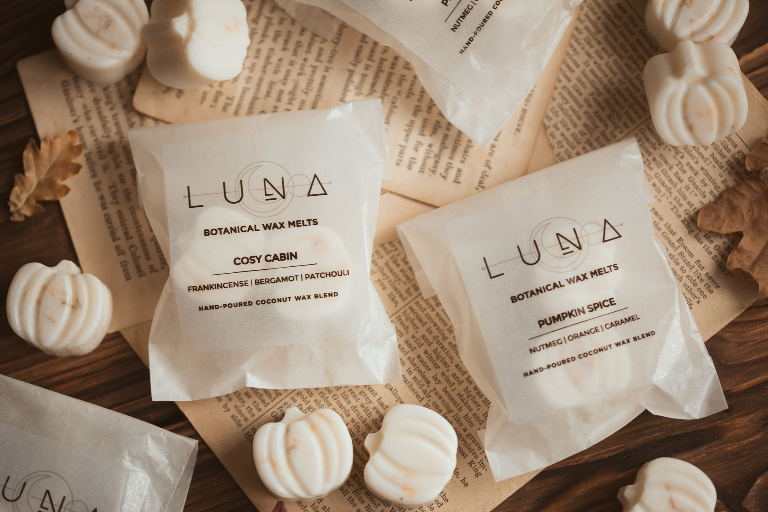 Special Autumn Wax Melt and Burner Bundle