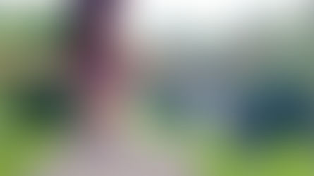 カラダとココロを整えるYoga☆第3回 やわらかくなるストレッチヨガ