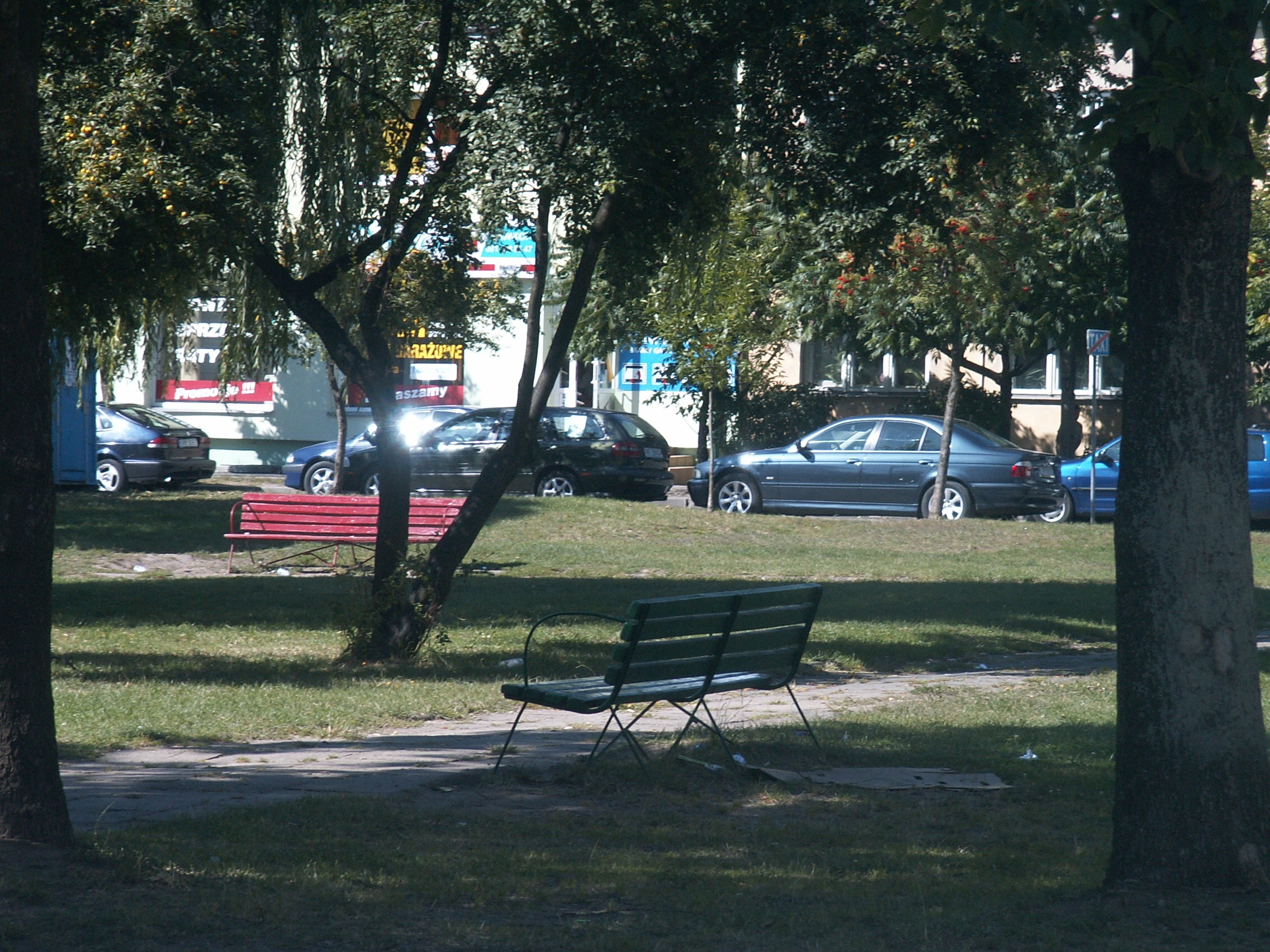 PICT0050
