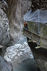 DSC_6634.JPG