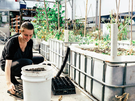 Meet Tayla - NGC Graduate Series